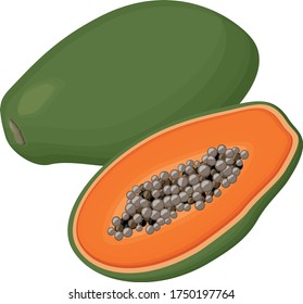 Papaya-Symbol. Vektor-Papayafrucht für Webdesign auf weißem Hintergrund