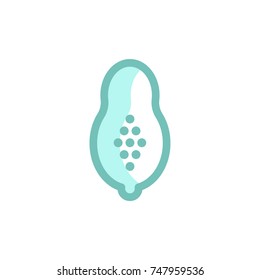 papaya icon vector. papaya icon modern style design