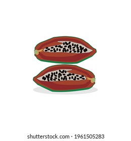 papaya icon vector template isolated on white background. illustration vector