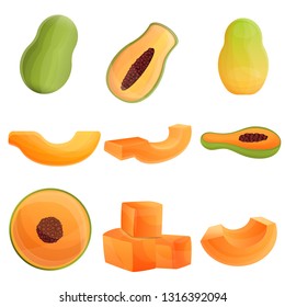 Papaya icons set. Cartoon set of papaya vector icons for web design