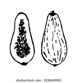 Ilustración de Papaya al estilo doodle. Dibujo vectorial aislado en un fondo blanco. Ilustración vectorial dibujada a mano. Caras interiores y exteriores