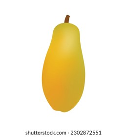 Papaya Illustration On White Background