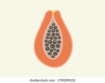 Papaya. Ilustración de Papaya. Fruta vectorial. Fruta exótica. Fruta tropical. Aislado de blanco. Fruta.  Pawpaw. 