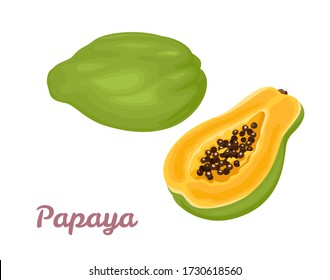 Papaya isolated on a white background. Vector illustration of tropical fruit whole and half in cartoon flat style.