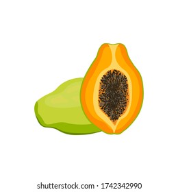 Papaya isolated on white background. Vector illustration.