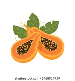 Papaya aislada sobre fondo blanco Ilustración vectorial de fruta fresca tropical. Estilo de dibujos animados planos.