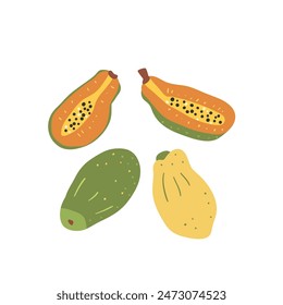 Papaya isolated on white background. Set of exotic sweet dessert. Whole and slice of ripe tropical papaya fruits. Vector hand drawn flat illustration.