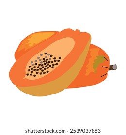 Papaya isolated on white background. Fruit slices. Vector illustration.