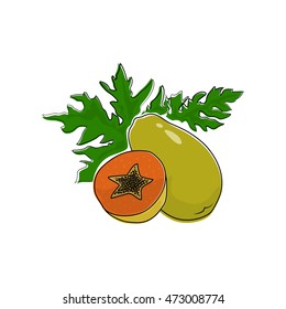 Papaya Isolated on White Background, Tropical Fruit Pawpaw, Vector Illustration 