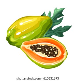 Papaya isolated on white background. Illustration of tropical plant.
