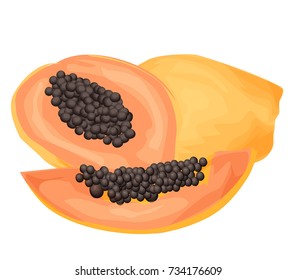 Papaya isolated on white. Called papaw, or pawpaw edible exotic fruit. Cartoon vector illustration