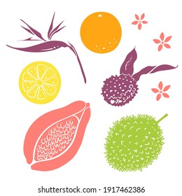 Papaya, jackfruit, lychee, lemon, orange. Colorful sketch collection of tropical fruits and flowers isolated on white background. Doodle hand drawn fruit icons. Vector illustration
