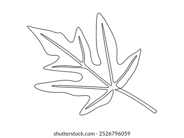 Papaya leaf continuous line drawing. Isolated on white background vector illustration