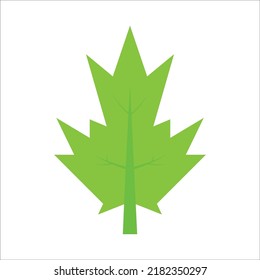 Sitio web temporal de diseño de iconos de hoja de papaya