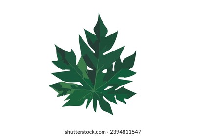 ilustración de hoja de papaya aislada en fondo blanco. estilo dibujado a mano. estilo doddle. eps, ilustración vectorial de hoja única de papaya