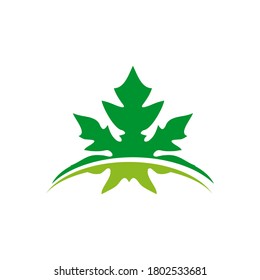 Papaya leaf logo design vector template