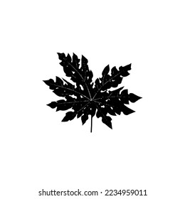 papaya leaf logo design white background	
