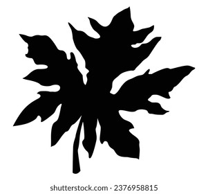 papaya leaf silhouette, icon, on a white background. vector illustration