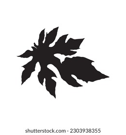 papaya leaf silhouette on white background