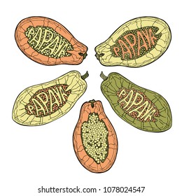 Papaya lettering. Set of tropical fruit in a stylized silhouette. Hand drawn vector illustration.