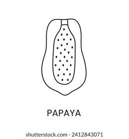 Papaya line icon in vector, fruit illustration