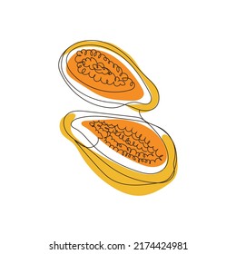 Papaya. Linear papaya design with orange spots.  Vector drawing of exotic fruit with seeds for package or recipe design.