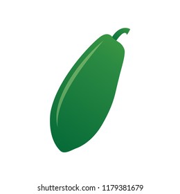 papaya logo icon design template vector