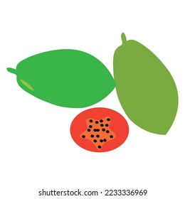 papaya logo vektor illustration design