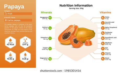 Papaya and its nutritional properties -Vector illustration
