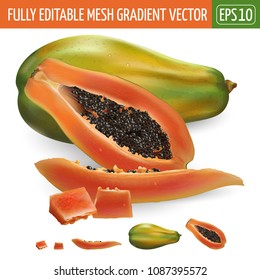 Papaya on white background. Vector illustration