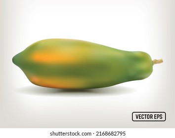 PAPAYA ON WHITE BACKGROUND. VECTOR EPS