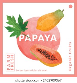 Papaya packaging design templates, watercolour style vector illustration.