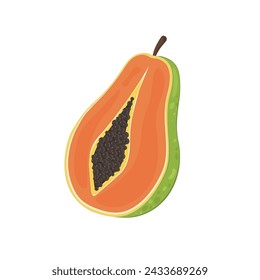 Papaya, papaw pawpaw icon. Vector tropical exotic fruits