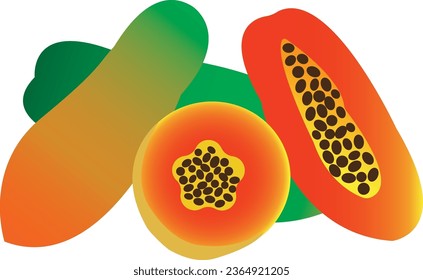 The papaya, papaw, or pawpaw is the plant species Carica papaya, one of the 21 accepted species in the genus Carica of the family Caricaceae.