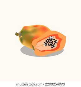 papaya, pawpaw -vector illustration of a piece of papaya