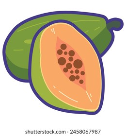 Papaya or pepaya fruit vector illustration, lapaya or pawpaw tropical fruits, kapaya flat icon image, carica papaya clip art