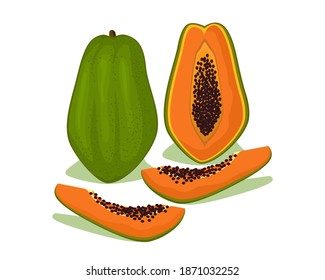 Diseño de vectores de fruta madura papaya. Frutos tropicales para un estilo de vida saludable