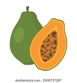 Papaya. Ripe papaya fruit whole and slice vector illustration.