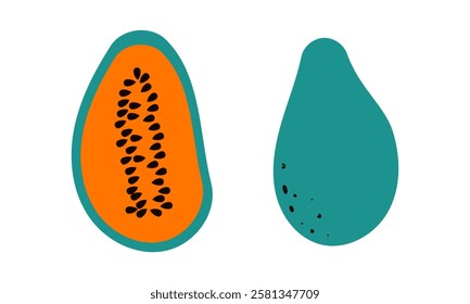 Papaya. Ripe papaya fruit whole and slice vector illustration. Hand drawn doodle flat simple illustration isolate on white for banner web and card design .