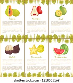 Papaya and salak posters set with text sample vector. Chompoo and bael, carambola slices star exotic fruit and watermelon with seeds. Monstera leaves