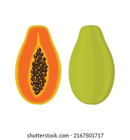 Papaya set design with isolated whole and halved sweet tropical fruit. Exotic vegan food in flat detailed vector style for packaging, designs, decorative elements