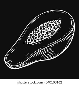 Papaya Sketch hand drawn vector illustration. Sweet Exotic Thailand asian papaya. Tropical fruit cocktail recipe, juice dessert smoothie packaging isolated design