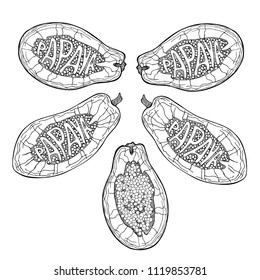 Papaya sketch set. Tropical fruit stylized decorative lettering. Hand drawn vector illustration.