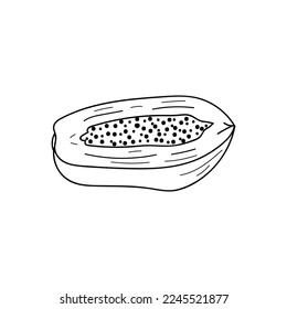 Papaya slice doodle illustration in vector. Hand drawn icon of sliced papaya in vector.