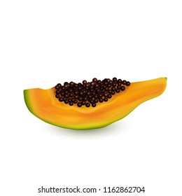 Papaya slice. Exotic fruit in realistic vector style. 