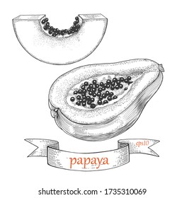 Papaya slice and half. Tropical fruit isolated on a white background. Graphics vector set. 
