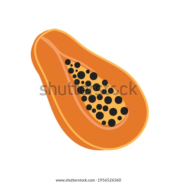 Papaya Slice On White Background Hand Stock Vector (Royalty Free ...