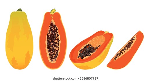 Papaya slice set. Hand drawn tropical fruit. 