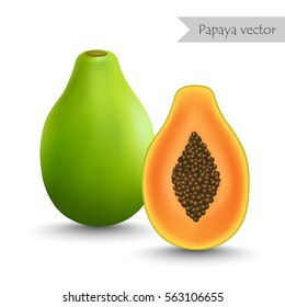 Papaya and slice vector isolated