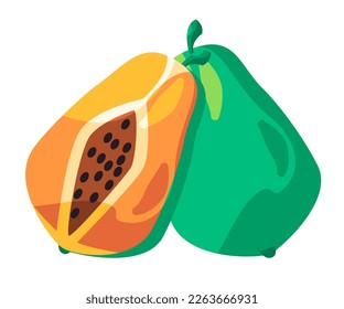 Papaya sliced orange fruit vector drawing illustration